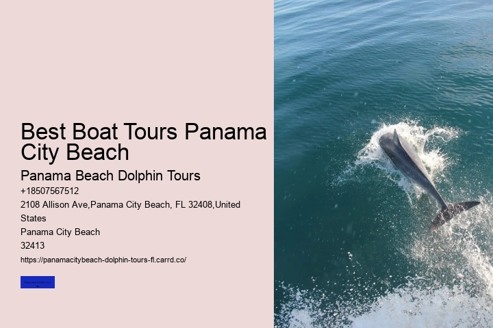 Panama City Beach Dolphin Tours & More Photos