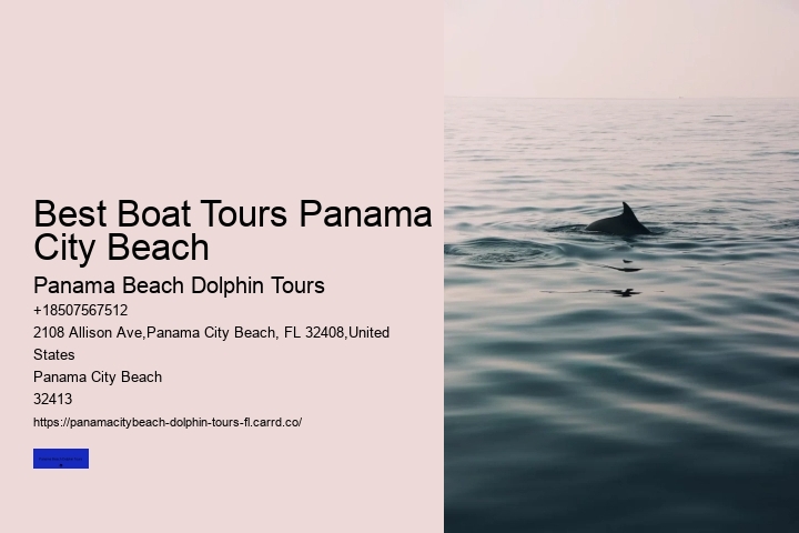 Tips And Advice For Swimming With Dolphins