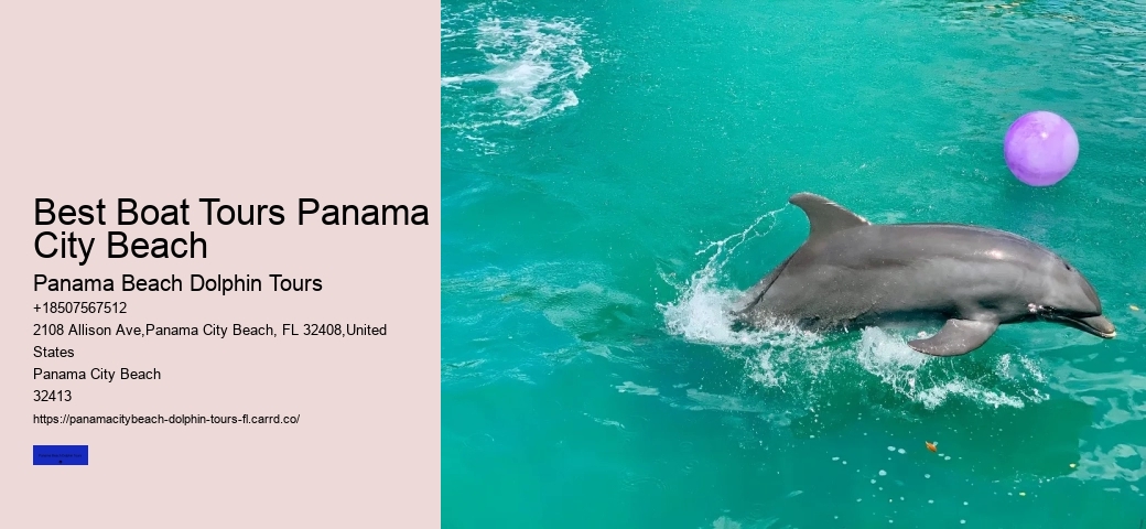 Dolphin Tours Panama City Beach Florida