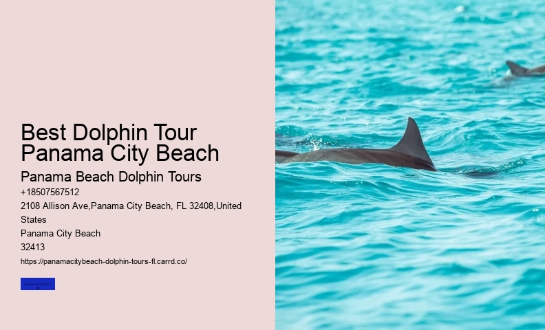 Panama City Beach Dolphin Cruise