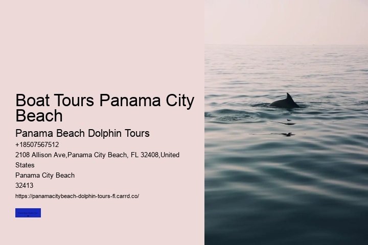 Dolphin Swim Tours