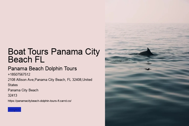 Waverunner Dolphin Tour Panama City Beach
