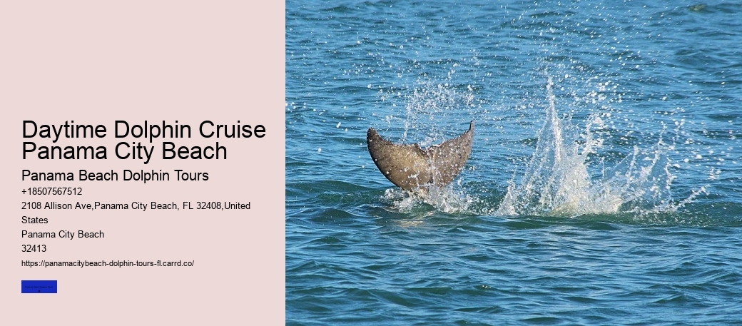 Daytime Dolphin Cruise Panama City Beach