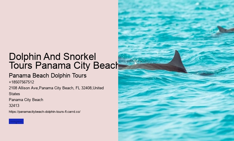 Sharks Can And Do Attack Humans In The Wild