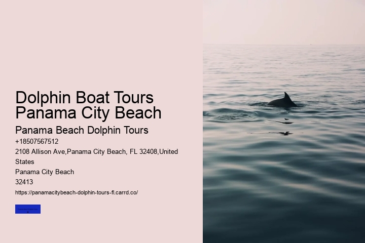 Panama City Beach Florida Dolphin Swim