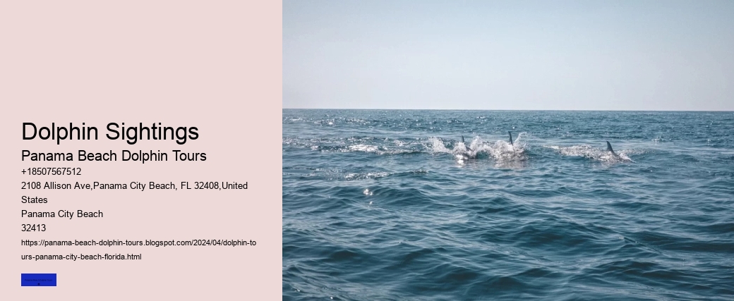 Dolphin Sightings