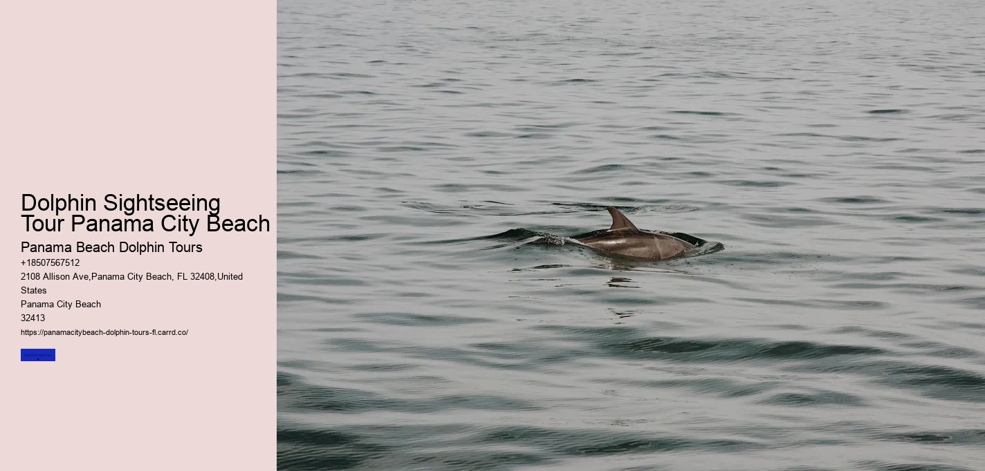 Dolphin Sightseeing Tour Panama City Beach
