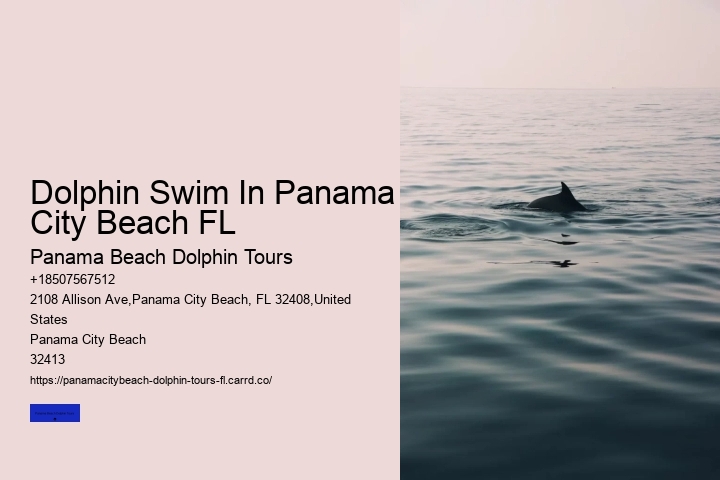 Dolphin Swim In Panama City Beach FL