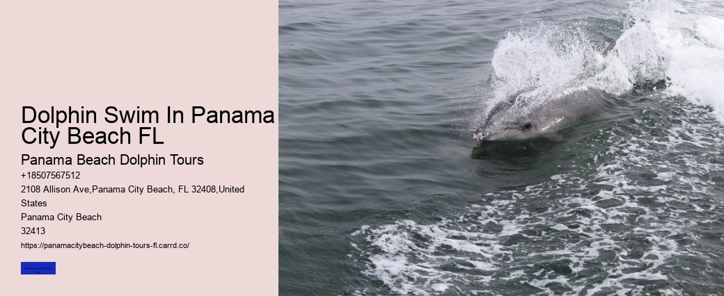 Panama City Beach Dolphin