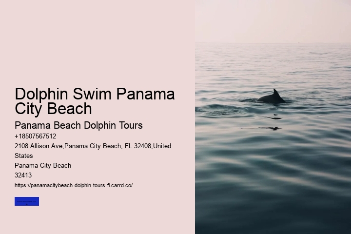 Dolphin Tours At Panama City Beach