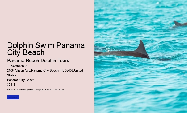 Panama City Beach Florida Dolphin Swim