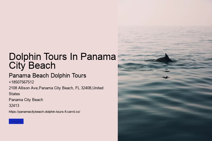 Dolphin Tours In Panama City Beach