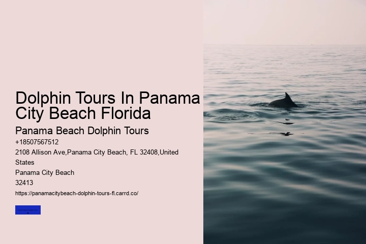 How Deep Is The Water When Swimming With Dolphins
