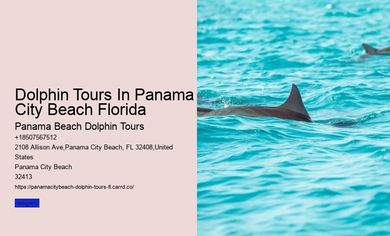 What Time Of Day Is Best For Dolphin Encounter