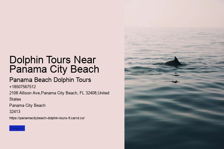Why Not To Swim With Dolphins