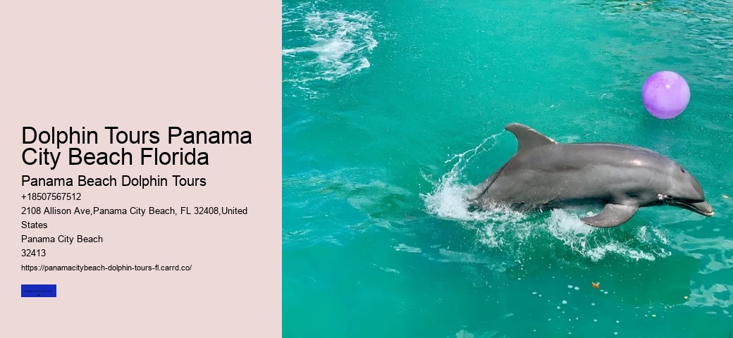 What Is The Best Place To Swim With Dolphins