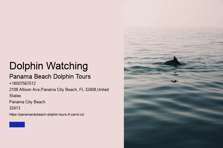 Panama City Beach FL Dolphin Cruise