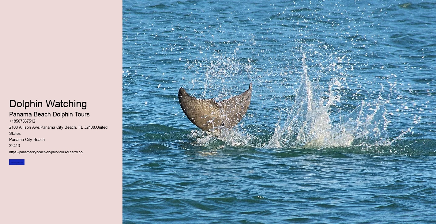 How Deep Is The Water When Swimming With Dolphins