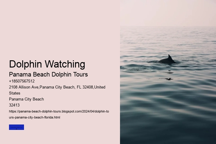 Dolphin Watching