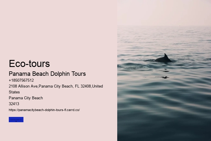 Ocean Adventures