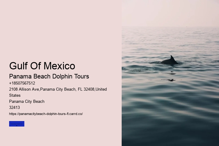Daytime Dolphin Cruise Panama City Beach