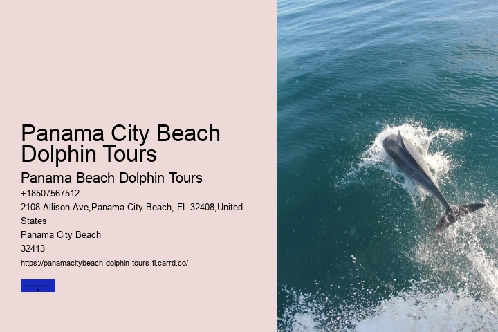Jet Ski Dolphin Tours Panama City Beach