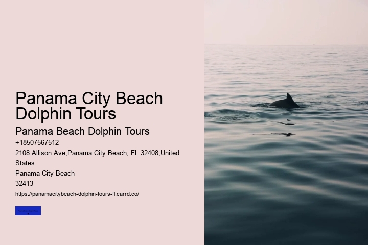 5 Reasons Not To Swim With Dolphins