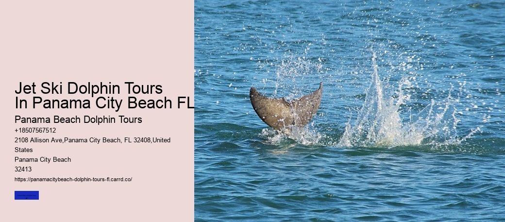 Dolphins