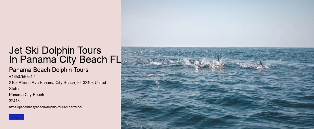 What Month Are Dolphins Most Active In Florida