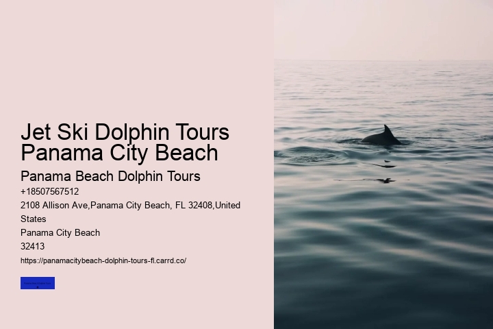 Snorkeling Tours