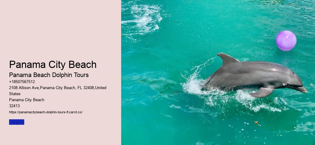 10 Reasons Not To Swim With Captive Dolphins