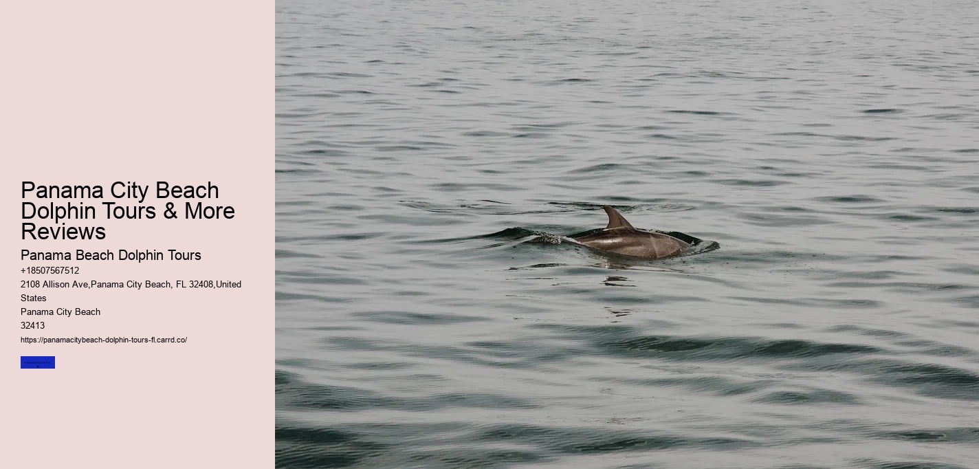 Panama City Beach Dolphin Tours & More Reviews