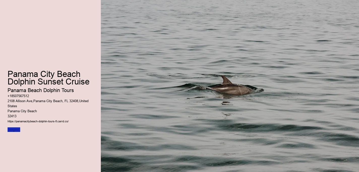 Panama City Beach Dolphin Sunset Cruise