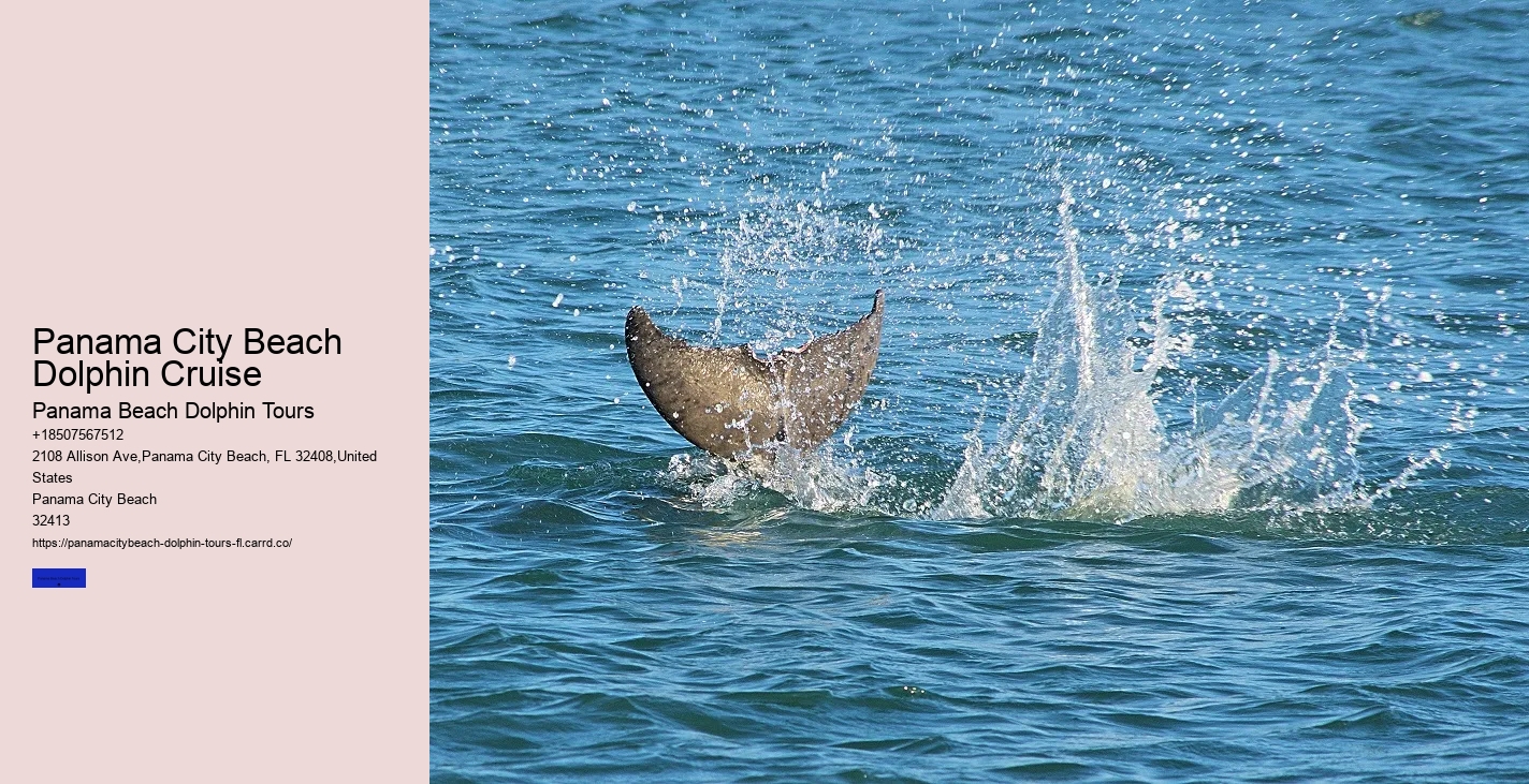 Sea Screamer