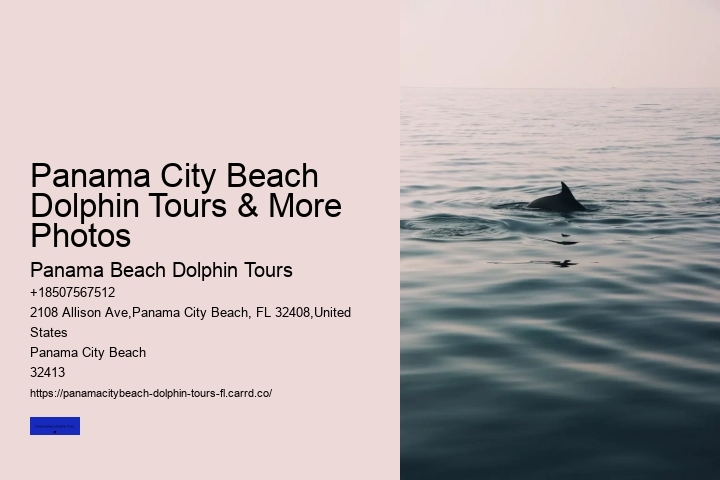 Beach Dolphin Tours Panama City Cost
