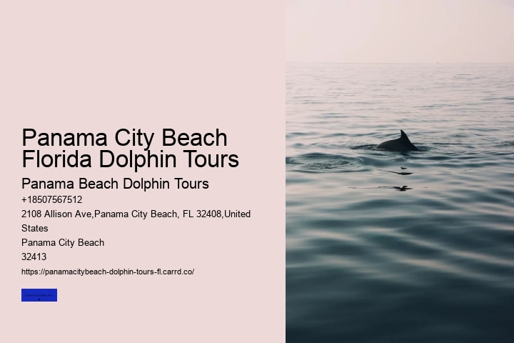 Panama City Beach Florida Dolphin Tours
