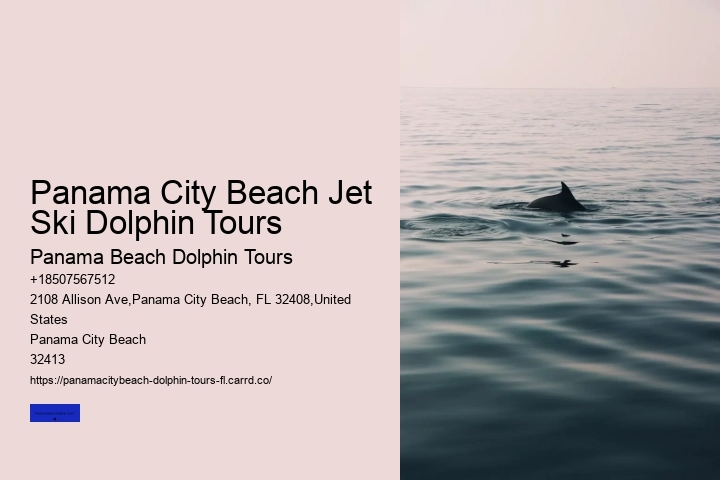 Best Dolphin Tours Panama City Beach