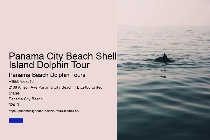 What Time Of Day Are Dolphins Out The Most