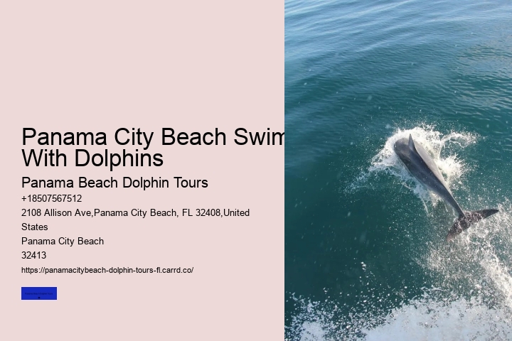 Is It Safe To Swim Where Dolphins Are