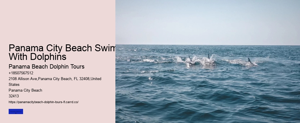 Swim With Dolpins