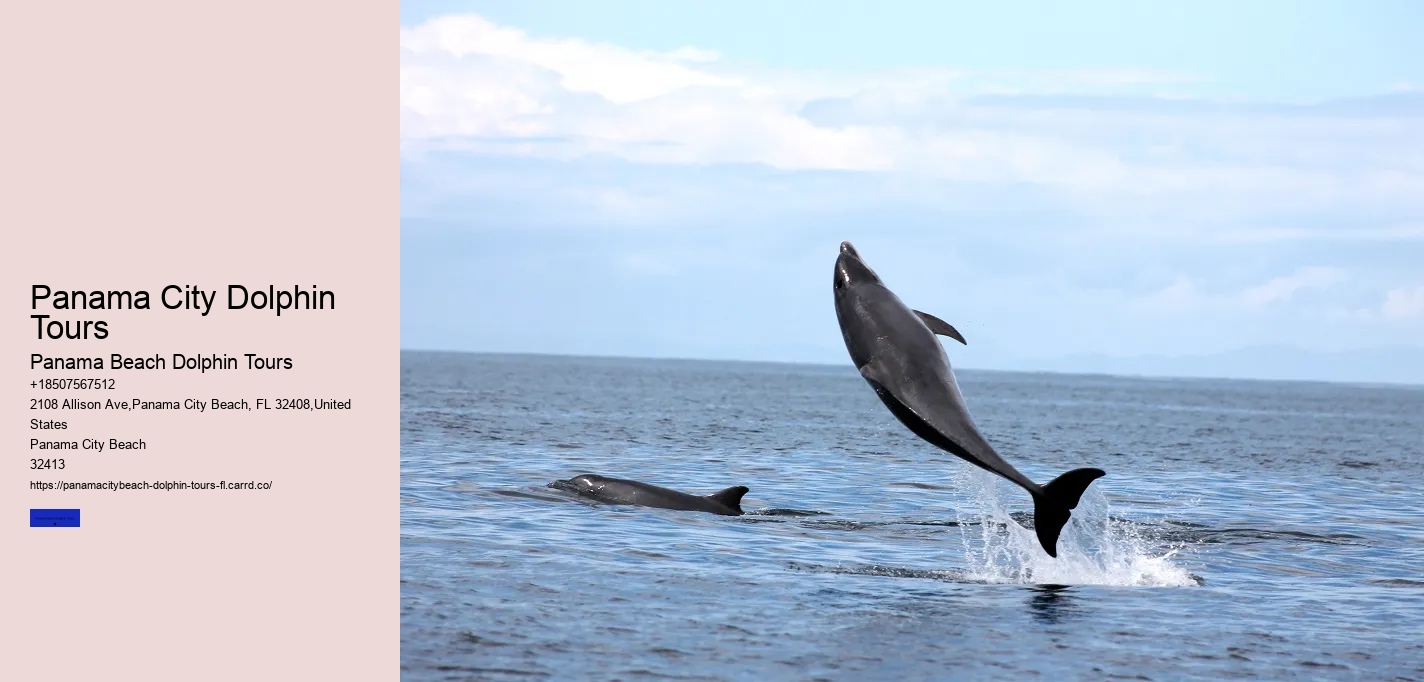 Panama City Dolphin Tours