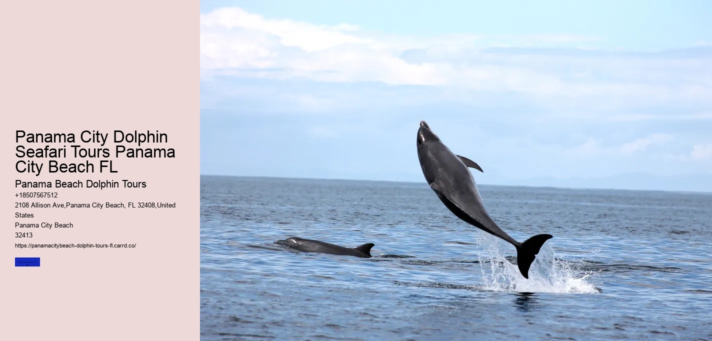 Panama City Dolphin Seafari Tours Panama City Beach FL