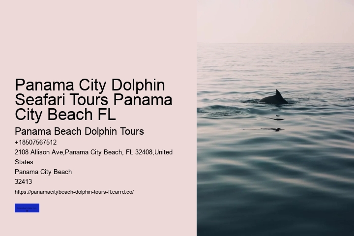 10 Reasons Not To Swim With Captive Dolphins