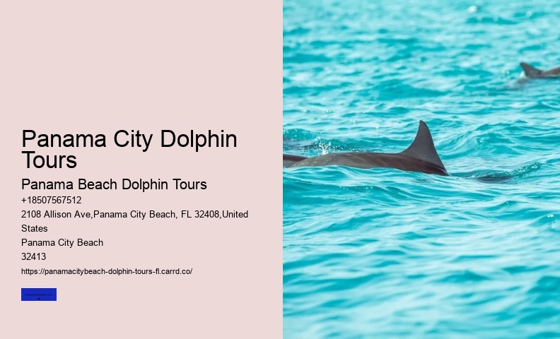 How Do You Spot Dolphins On The Beach
