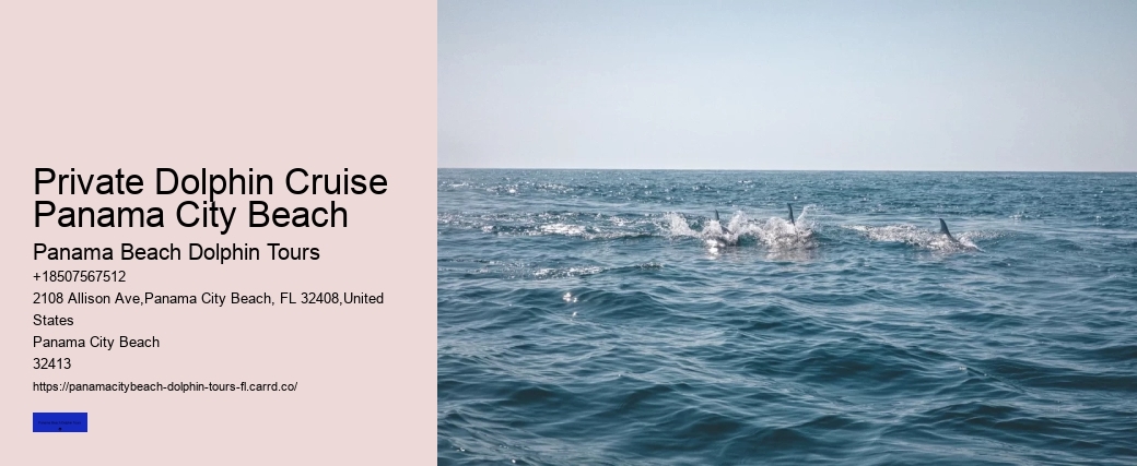 Dolphin Swim