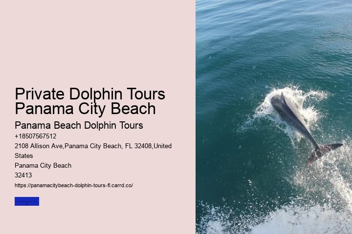 What Park InFlorida Can You Swim With The Dolphins