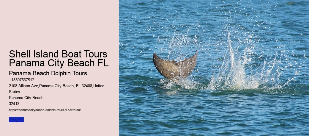 Shell Island Boat Tours Panama City Beach FL