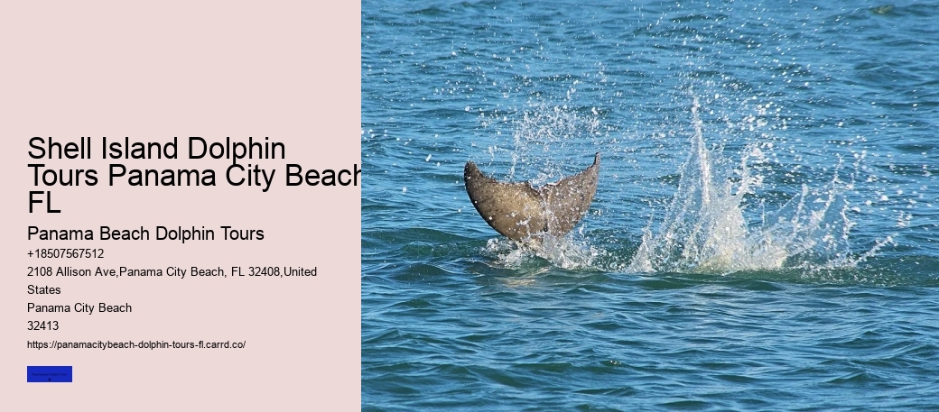 Shell Island Dolphin Tours Panama City Beach FL
