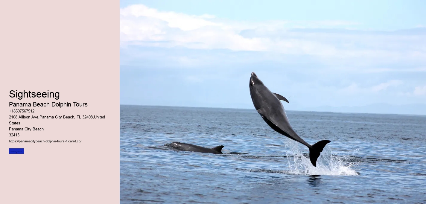Best Boat Tours Panama City Beach