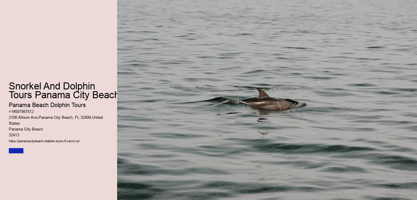 Snorkel And Dolphin Tours Panama City Beach